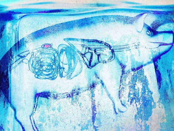 Pig kidneys kept at subzero temperatures for three days show faster recovery than standard storage