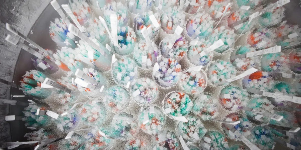European Fertility Group Pushes for a Continent-Wide Cap on Sperm Donations