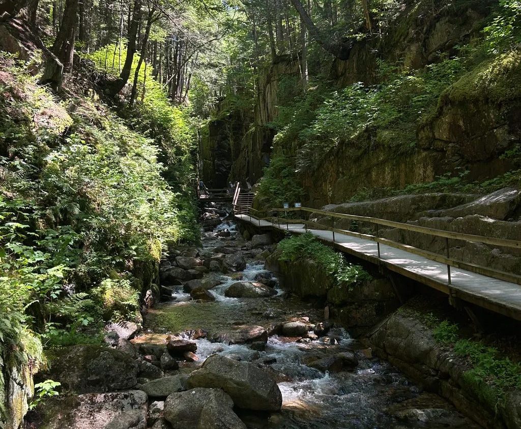 17 Scenic American Road Trips That Justify Taking the Long Route
