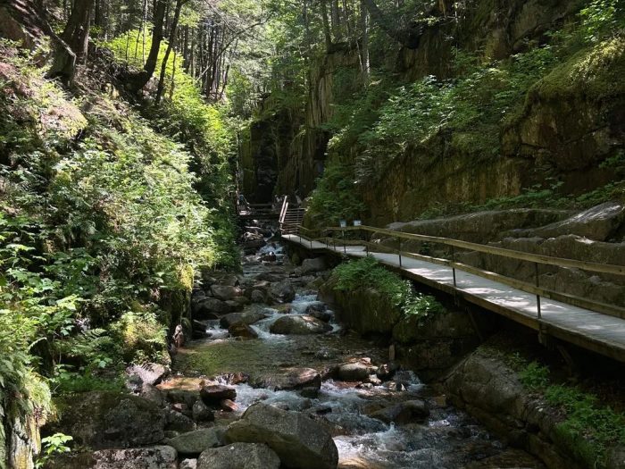17 Scenic American Road Trips That Justify Taking the Long Route